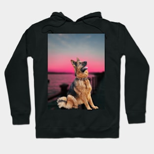 Dog,alsation,sunset Hoodie